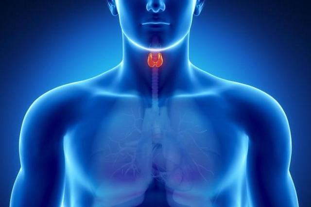 Рак щитовидной железы: симптомы, прогноз после операции, лечение и стадии