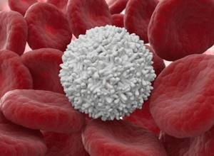 Как быстро поднять лейкоциты в крови после химиотерапии: продукты и препараты