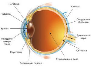 Ретинобластома: симптомы у детей, лечение глаза, причины