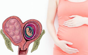 Может ли миома рассосаться сама после родов, беременности или при климаксе