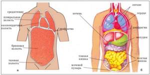 Рак брюшной полости: диагностика, симптомы, лечение и прогноз жизни
