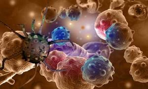 Злокачественная опухоль: виды рака, симптомы, опасность и прогноз жизни