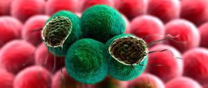 Раковые клетки: виды, как образуются, выглядят, чего боятся, причины появления и роста