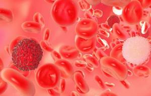 Лимфолейкоз: лечение, показатели анализа крови, симптомы, причины, стадии и продолжительность жизни