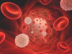 Анализ крови при раке кишечника: показатели и норма