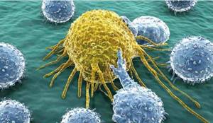 Причины заболевания раком: от чего возникает болезнь, бывает ли предрасположенность к раку