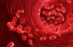 Рак крови: симптомы, сколько живут, методы лечения, стадии и диагностика