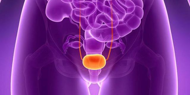 Рак мочевого пузыря: симптомы на ранних стадиях, лечение, стадии, причины и диагностика