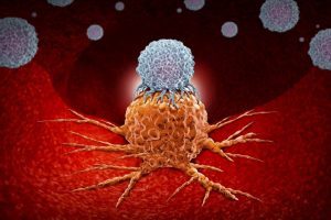 Иммунотерапия: лечение при онкологии, виды, эффективность и побочные эффекты